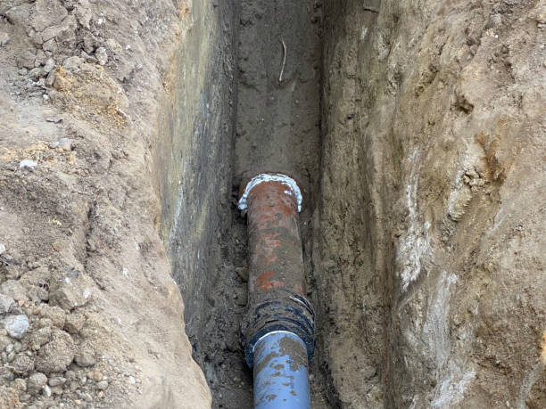 Best Flood damage cleanup  in Mansfield Center, CT