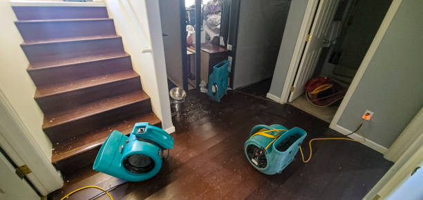 Best Residential water damage restoration  in Mansfield Center, CT