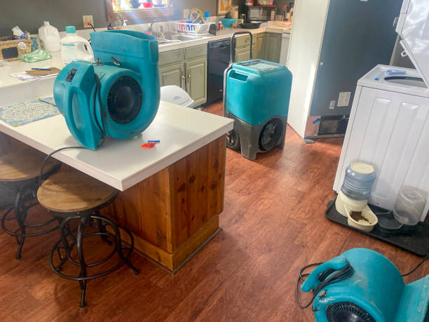 Best Water damage contractors near me  in Mansfield Center, CT