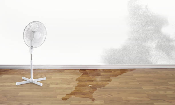 Best Basement water damage restoration  in Mansfield Center, CT