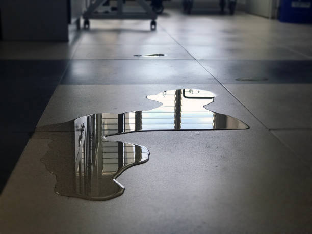 Best 24/7 water damage repair  in Mansfield Center, CT