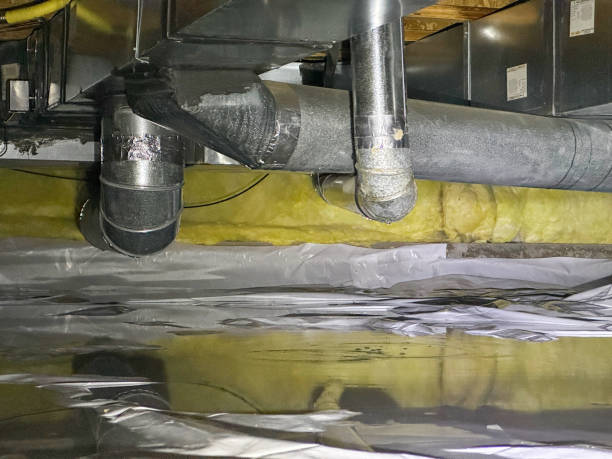 Best Mold removal after water damage  in Mansfield Center, CT