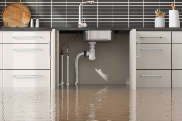 Best Sewage cleanup and water damage restoration  in Mansfield Center, CT
